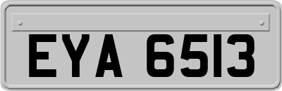 EYA6513