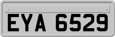 EYA6529