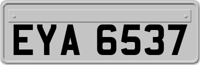 EYA6537