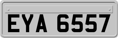 EYA6557