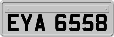 EYA6558