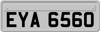 EYA6560