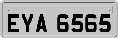 EYA6565