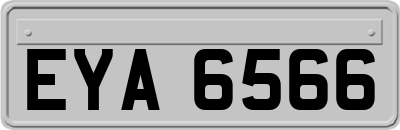 EYA6566
