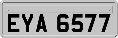 EYA6577