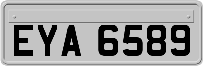 EYA6589