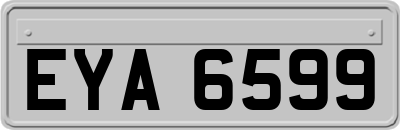 EYA6599
