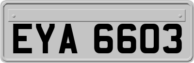 EYA6603