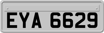 EYA6629