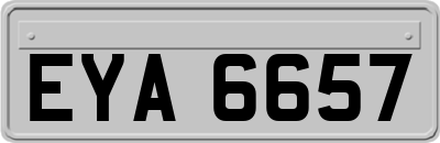 EYA6657
