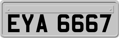 EYA6667
