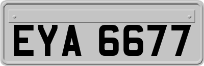 EYA6677
