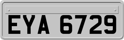 EYA6729