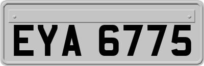 EYA6775