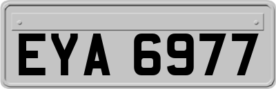EYA6977
