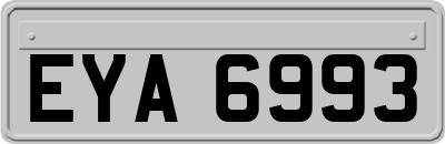 EYA6993