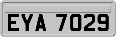 EYA7029