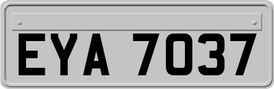EYA7037