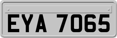 EYA7065