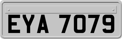 EYA7079
