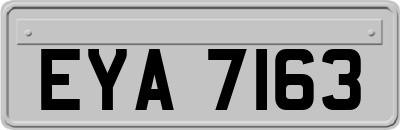 EYA7163