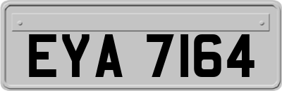 EYA7164