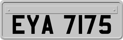 EYA7175