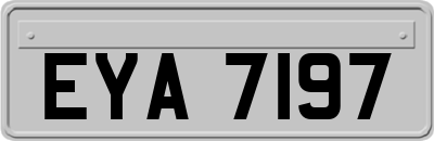 EYA7197