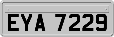 EYA7229