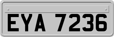 EYA7236