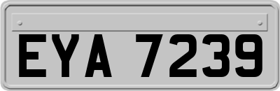 EYA7239