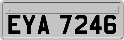 EYA7246