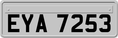 EYA7253