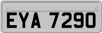 EYA7290