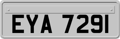 EYA7291
