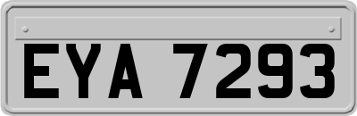 EYA7293