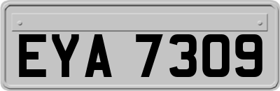EYA7309