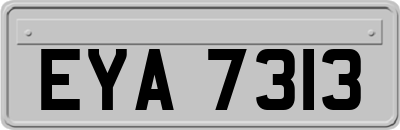 EYA7313