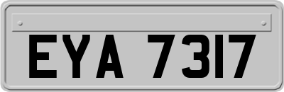 EYA7317