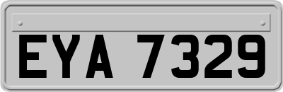 EYA7329