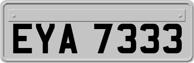 EYA7333