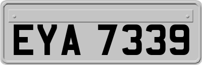 EYA7339