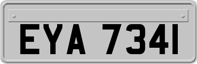 EYA7341