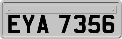 EYA7356