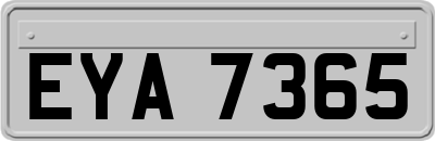 EYA7365