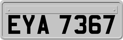 EYA7367