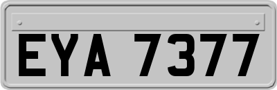 EYA7377