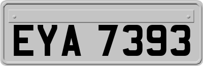 EYA7393