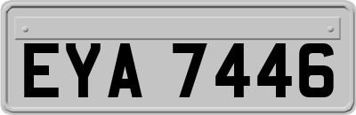 EYA7446