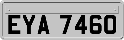 EYA7460